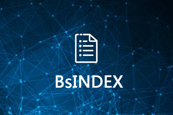 BsINDEX资源目录