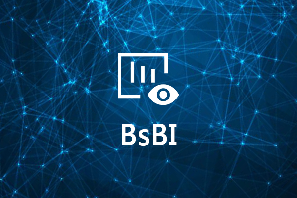 BsBI数据可视化